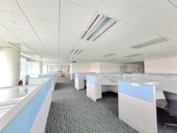 Fusionopolis Connexis Tower (D5), Office #453667331
